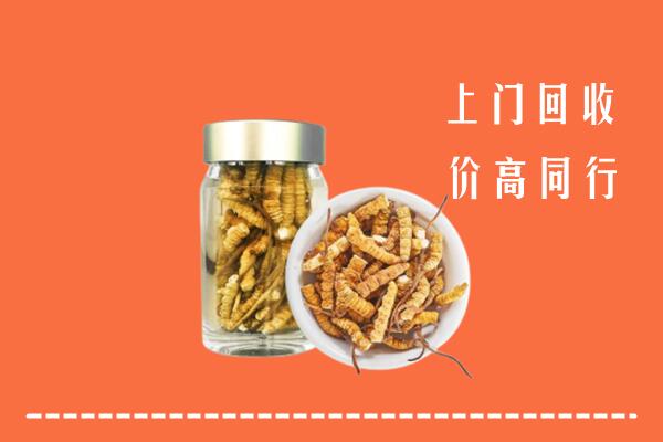 点军区回收冬虫夏草